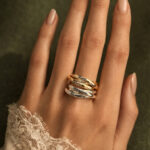 Life Cycle Ring